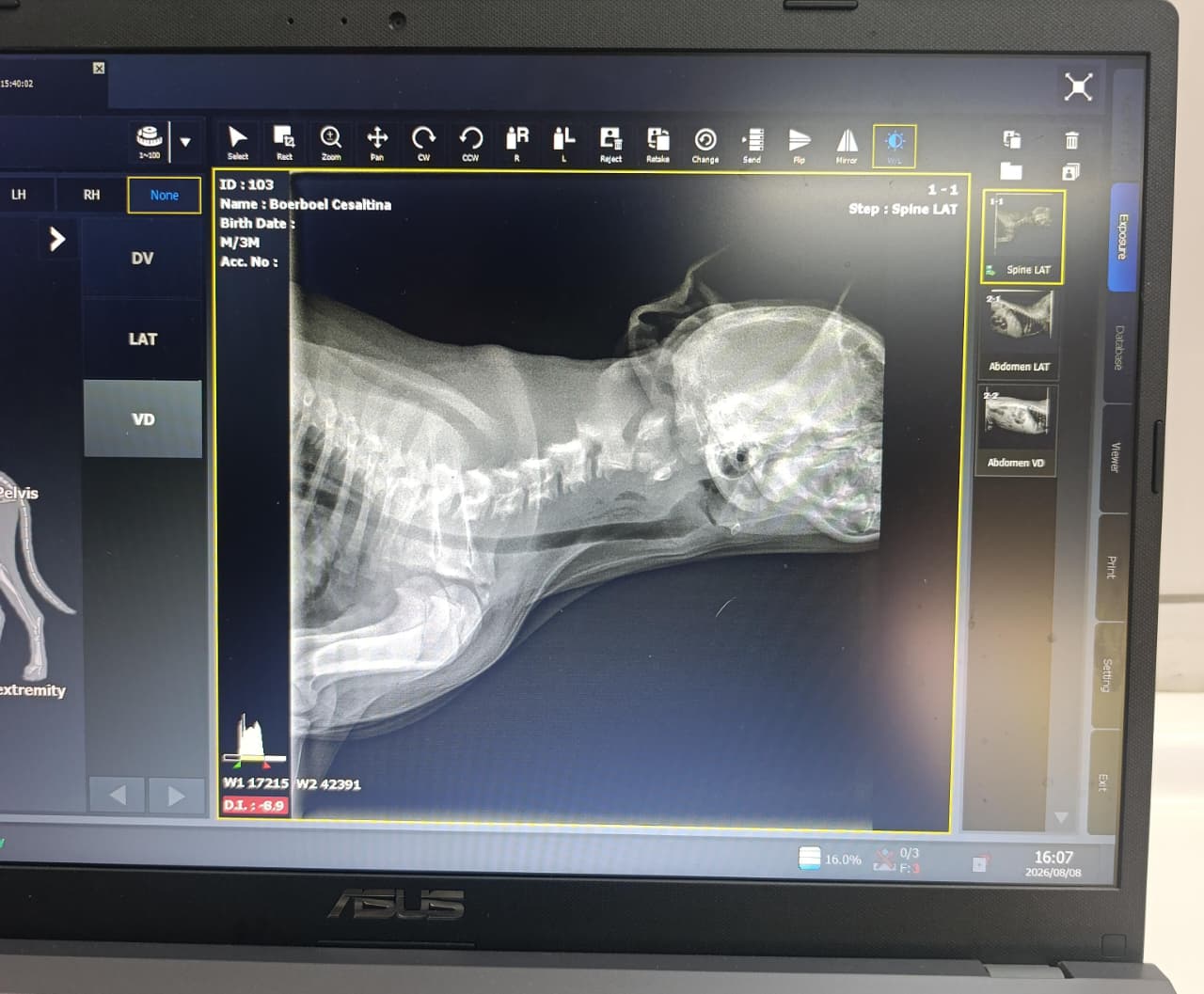 Radiografia digital da coluna de um cão